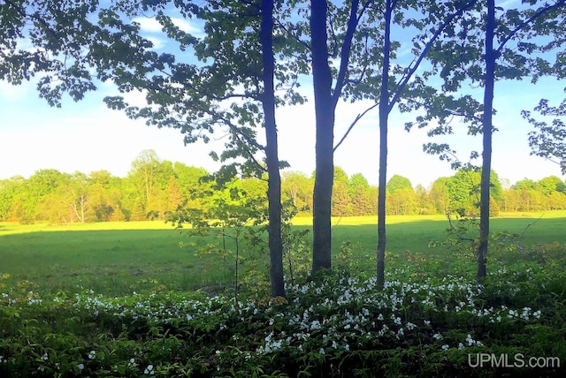 view of landscape