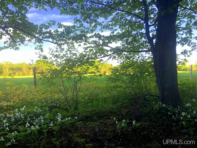 view of landscape