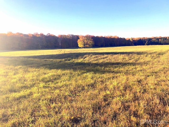 view of yard with a rural view