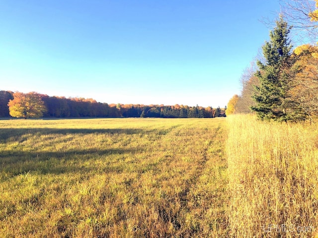 view of nature featuring a rural view