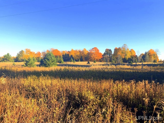 view of local wilderness with a rural view