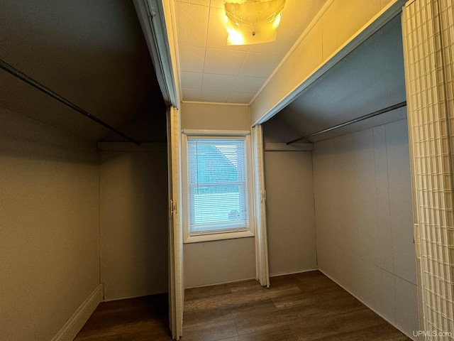 walk in closet with dark hardwood / wood-style flooring