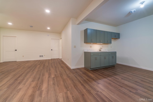 interior space featuring dark wood-type flooring and sink