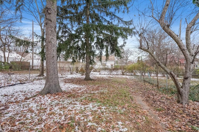 view of yard covered in snow