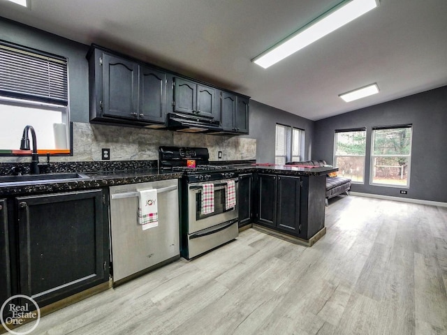 kitchen with lofted ceiling, sink, light hardwood / wood-style flooring, range hood, and stainless steel appliances