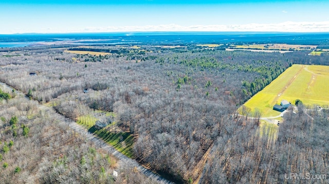 bird's eye view