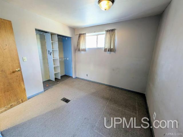 unfurnished bedroom featuring carpet floors and a closet