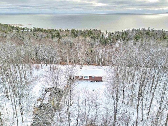 snowy aerial view featuring a water view