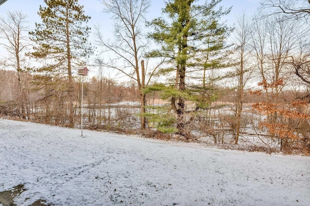 view of snowy yard