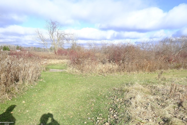 view of yard featuring a rural view