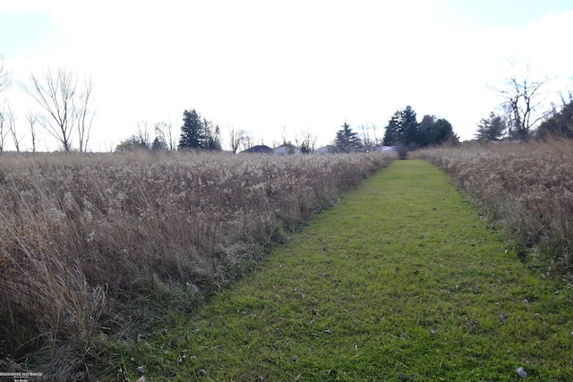 view of yard featuring a rural view