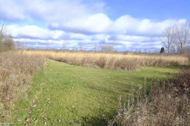 view of landscape with a rural view