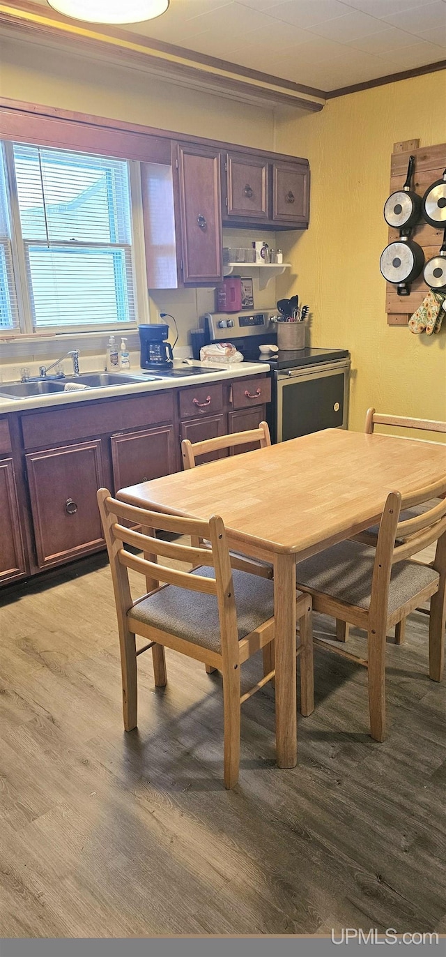 dining area with light wood-type flooring, crown molding, and sink