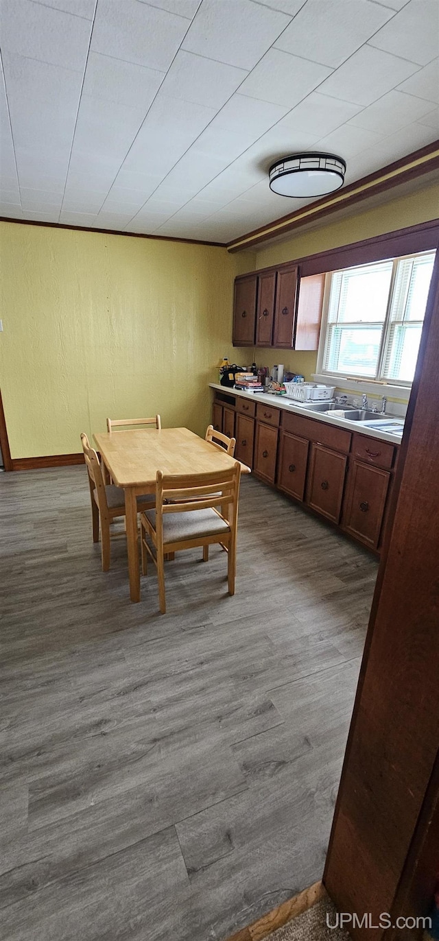 dining area featuring wood-type flooring and sink