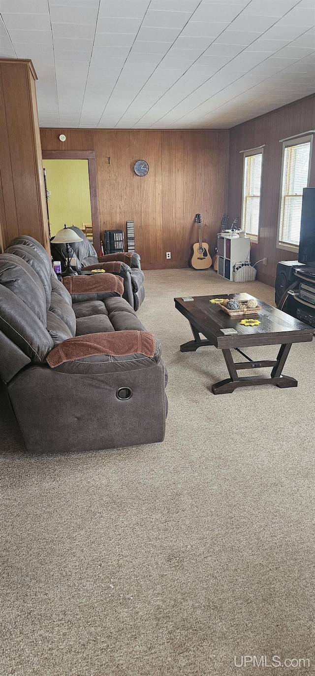 living room with wood walls and carpet