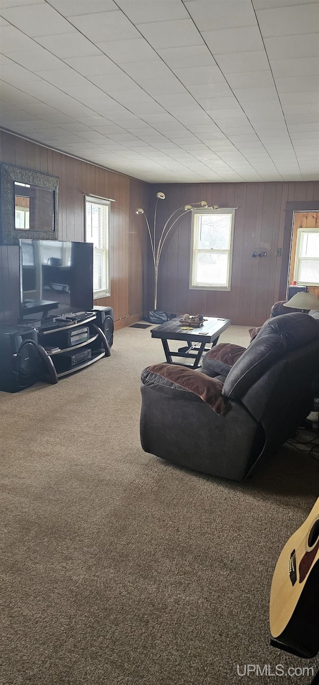 living room with carpet flooring and wood walls