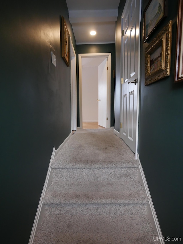 stairs with carpet floors and ornamental molding