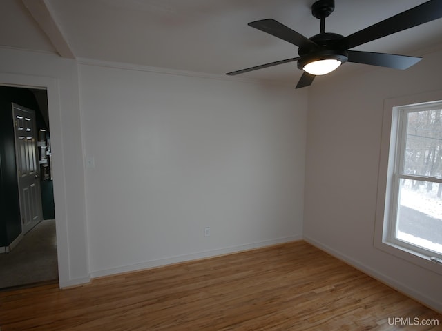 spare room featuring light hardwood / wood-style floors, ceiling fan, and a healthy amount of sunlight