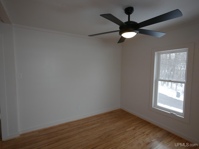 unfurnished room with light wood-type flooring, ceiling fan, and crown molding