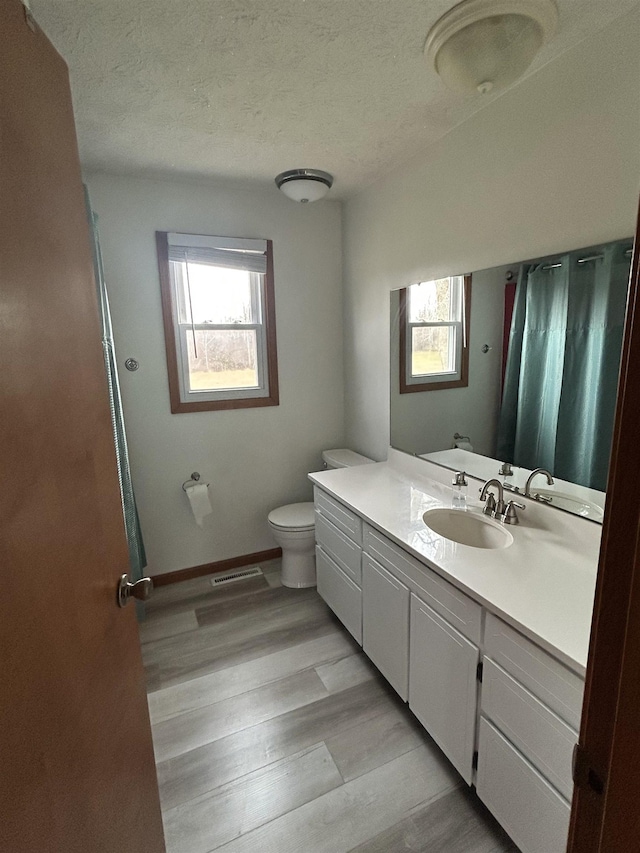 bathroom with wood-type flooring, vanity, a textured ceiling, and a wealth of natural light