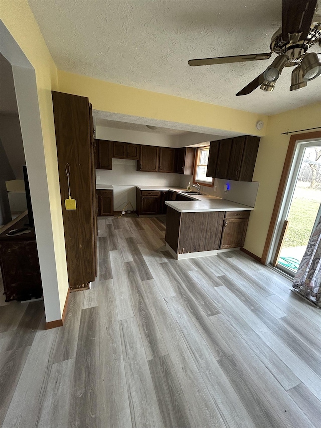 kitchen with sink, light hardwood / wood-style floors, and a textured ceiling