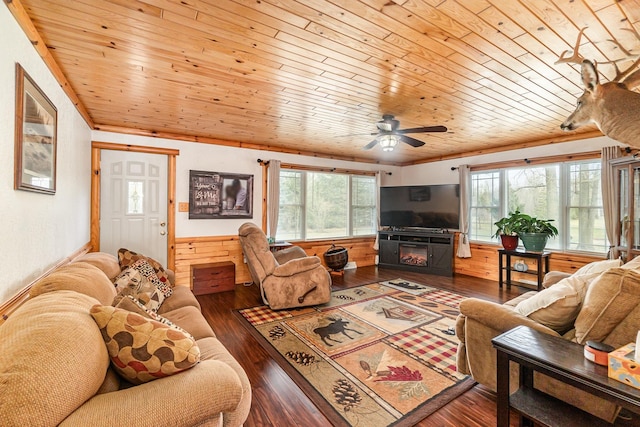 living room with dark hardwood / wood-style floors, ceiling fan, wood walls, and wood ceiling