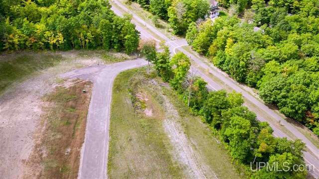 1007 Red Oak Ln, Houghton, MI 49931