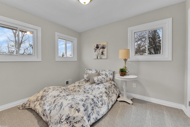 bedroom featuring carpet floors