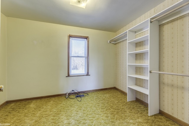 spacious closet with light carpet