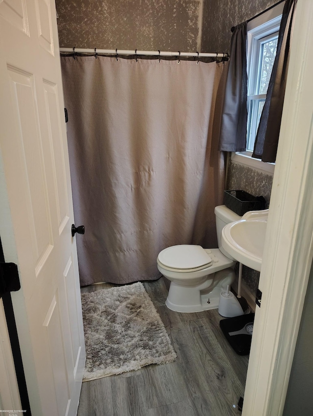 bathroom with hardwood / wood-style floors and toilet