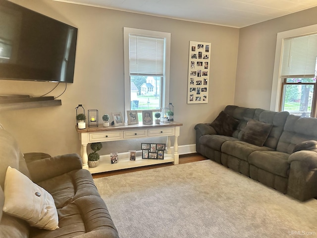 living room with hardwood / wood-style floors