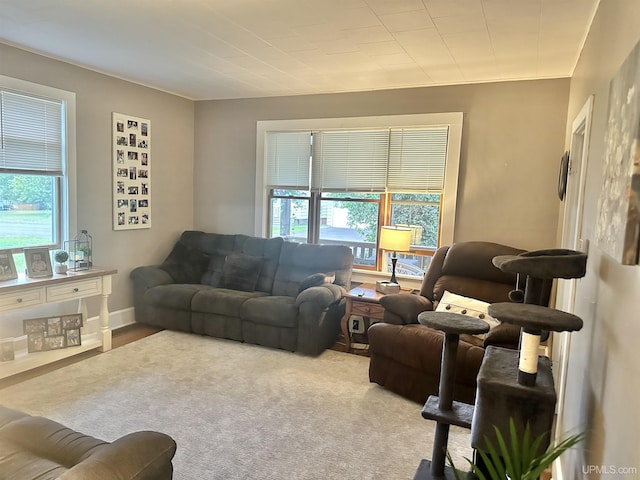 living room featuring light colored carpet