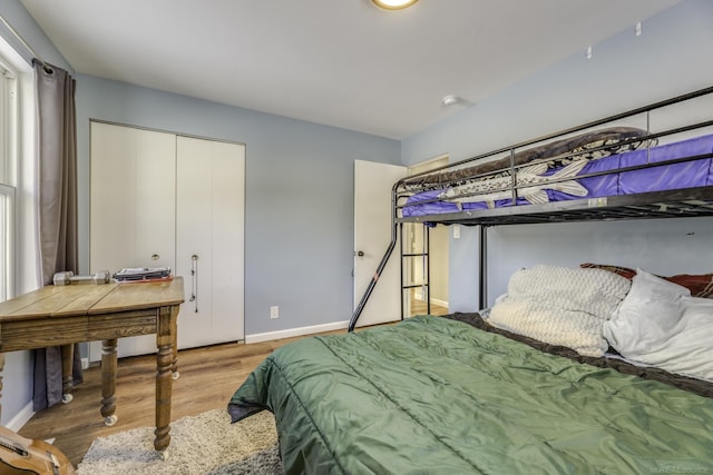 bedroom with a closet and wood-type flooring