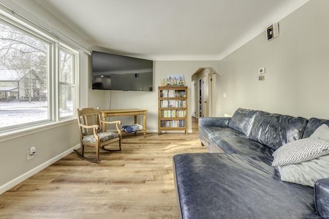 living room featuring light wood-type flooring