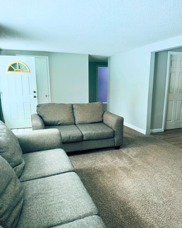 living room featuring carpet and a textured ceiling