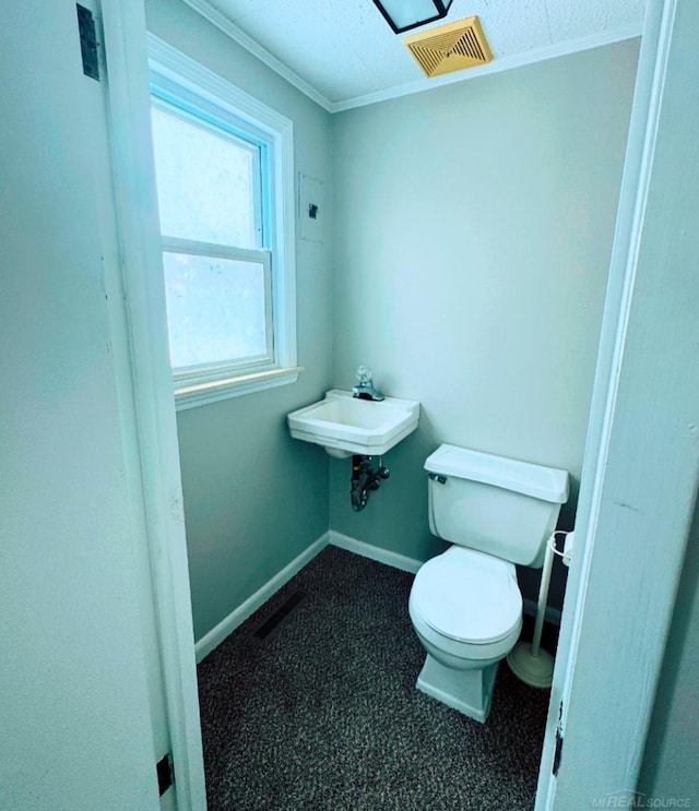 bathroom with sink, crown molding, and toilet