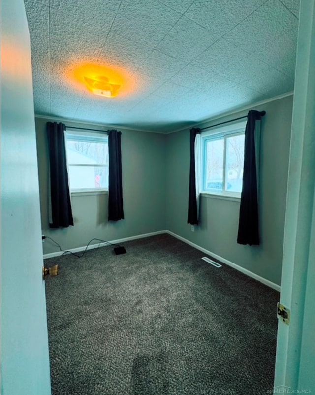 empty room featuring a healthy amount of sunlight and carpet flooring