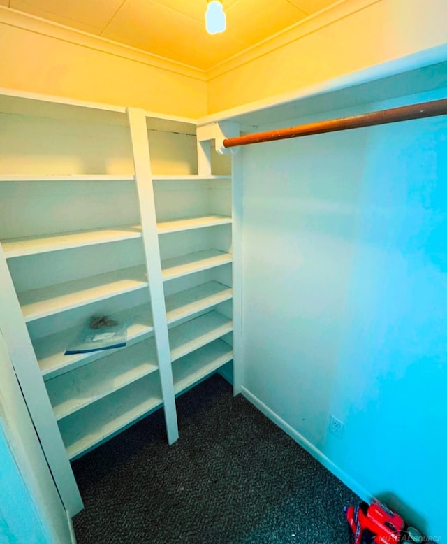 walk in closet featuring carpet flooring