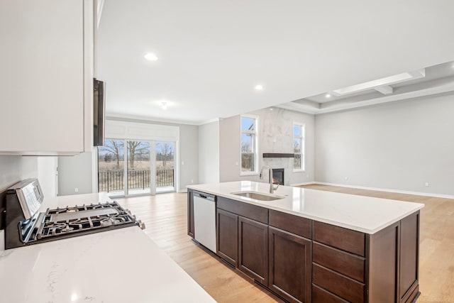 kitchen featuring light hardwood / wood-style floors, dark brown cabinetry, sink, and stainless steel appliances