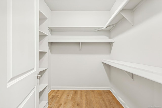 walk in closet featuring light hardwood / wood-style flooring