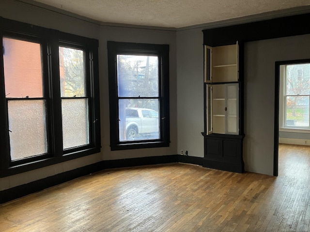 spare room featuring plenty of natural light, light hardwood / wood-style floors, and a textured ceiling