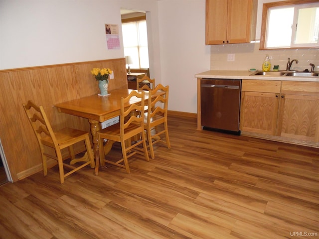 kitchen featuring light wood-type flooring, stainless steel dishwasher, a wealth of natural light, and sink