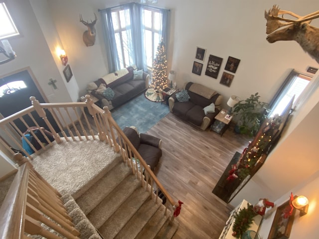 living room with hardwood / wood-style floors, a towering ceiling, and plenty of natural light