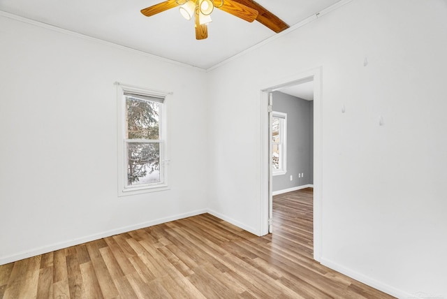 unfurnished room featuring beamed ceiling, ceiling fan, light wood-type flooring, and crown molding