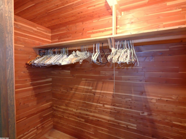 view of closet