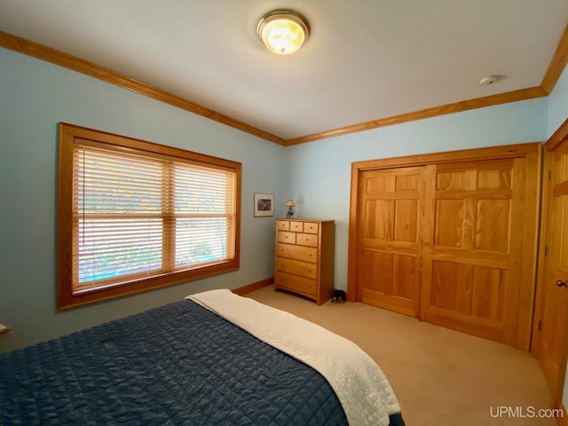 bedroom with carpet floors and ornamental molding