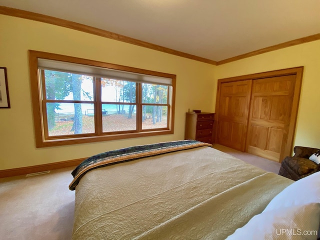 N10006 Shore Dr, Au Train, MI 49806 - bathroom featuring a shower with door, vanity, and toilet