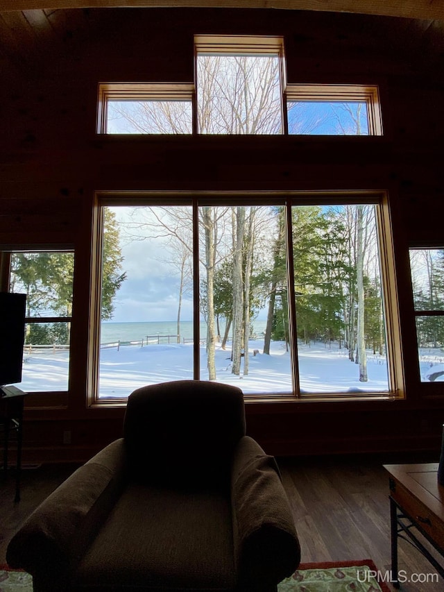 living room featuring a water view, a wealth of natural light, and hardwood / wood-style flooring