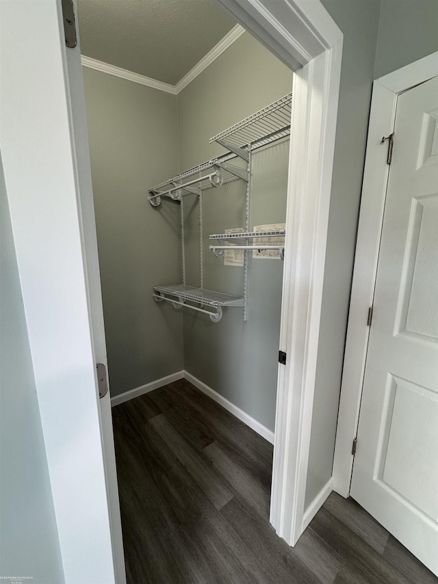 spacious closet with dark hardwood / wood-style floors