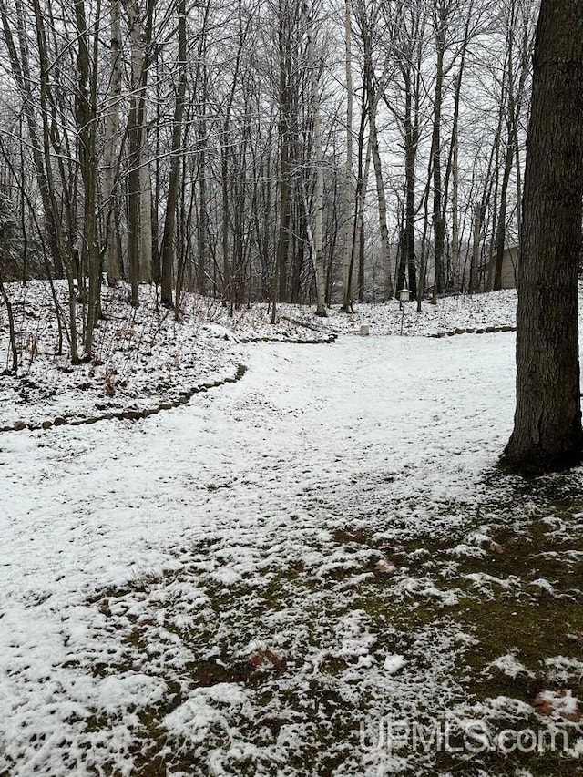 view of snowy yard